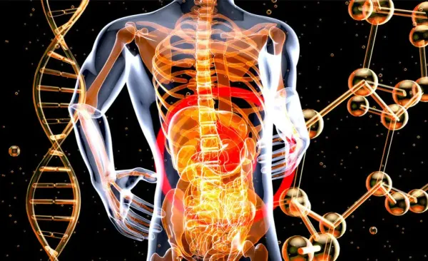 𝗜𝗟 𝗖𝗢𝗥𝗣𝗢: 𝗨𝗟𝗧𝗜𝗠𝗢 𝗦𝗜𝗡𝗗𝗔𝗖𝗔𝗧𝗢